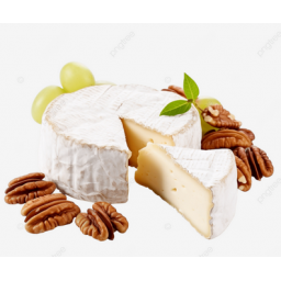 Queso Petit Brie Artesanal x 100 gr